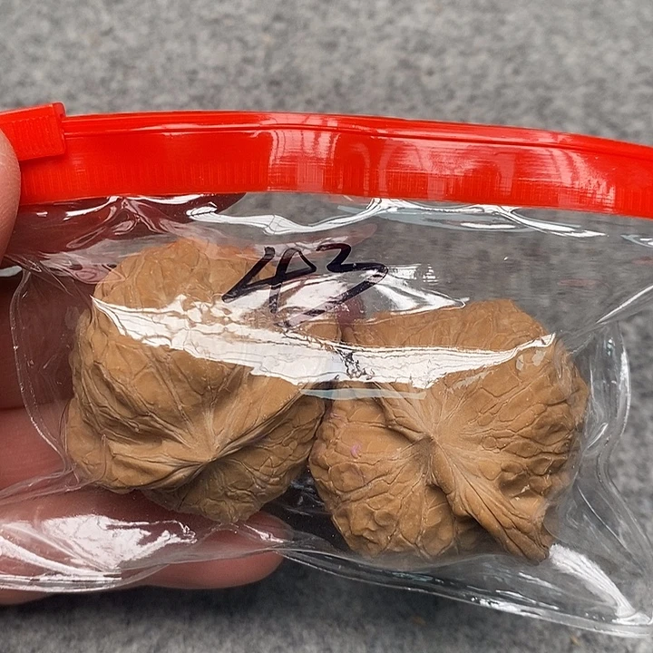 吊坠文玩核桃南瓜