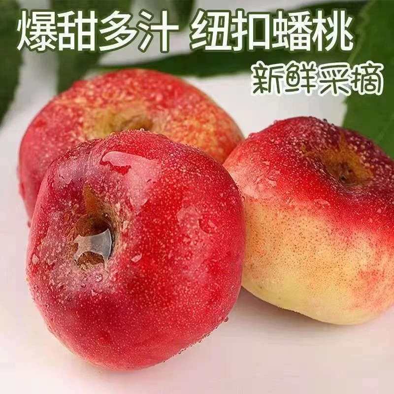 新疆阿克苏的纽扣麻油蟠桃红皮黄肉，桃香四溢，香甜软糯爆汁