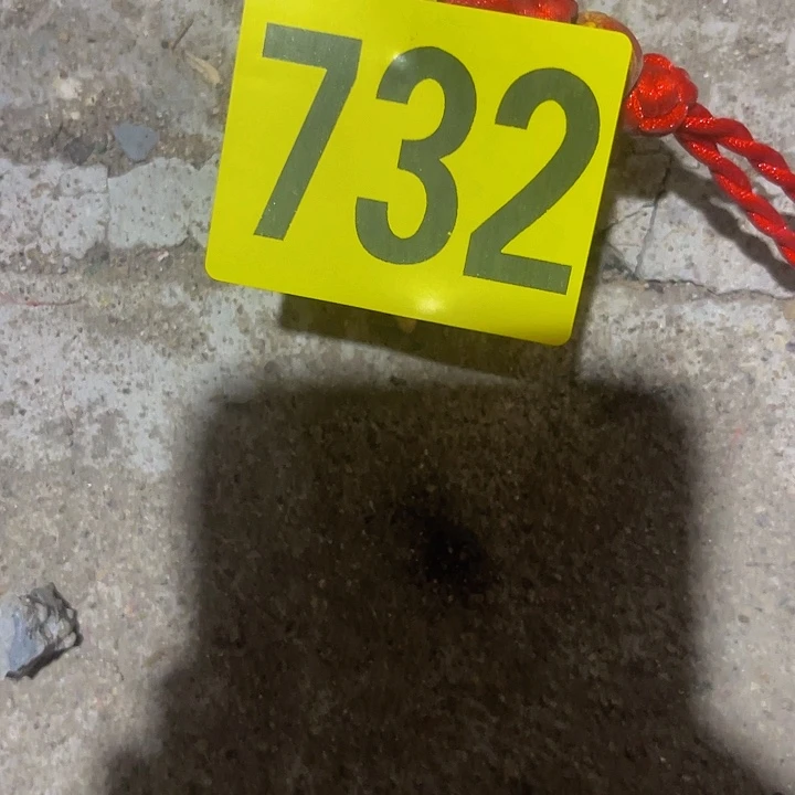 诚***心香榧木民俗老物件陈列展览