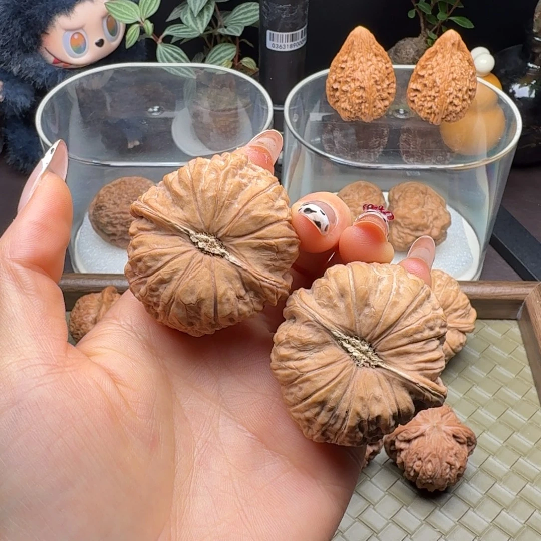把件龙脊菩提全品南瓜饼44