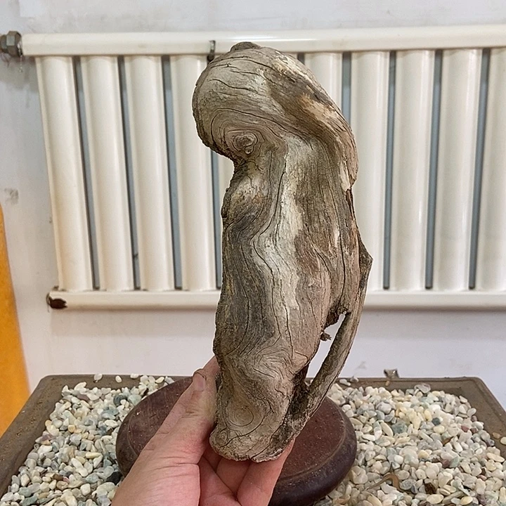 少***）柏木崖柏根雕天然艺术