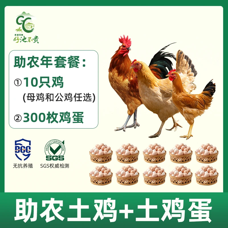 【助农年套餐】皖南散养土鸡童子鸡母鸡蛋新鲜适合孕妇儿童