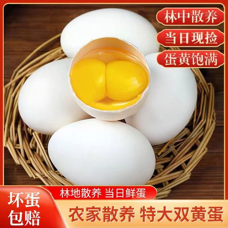 顺丰包邮【12枚】新鲜散养双黄鹅蛋农家土鹅蛋