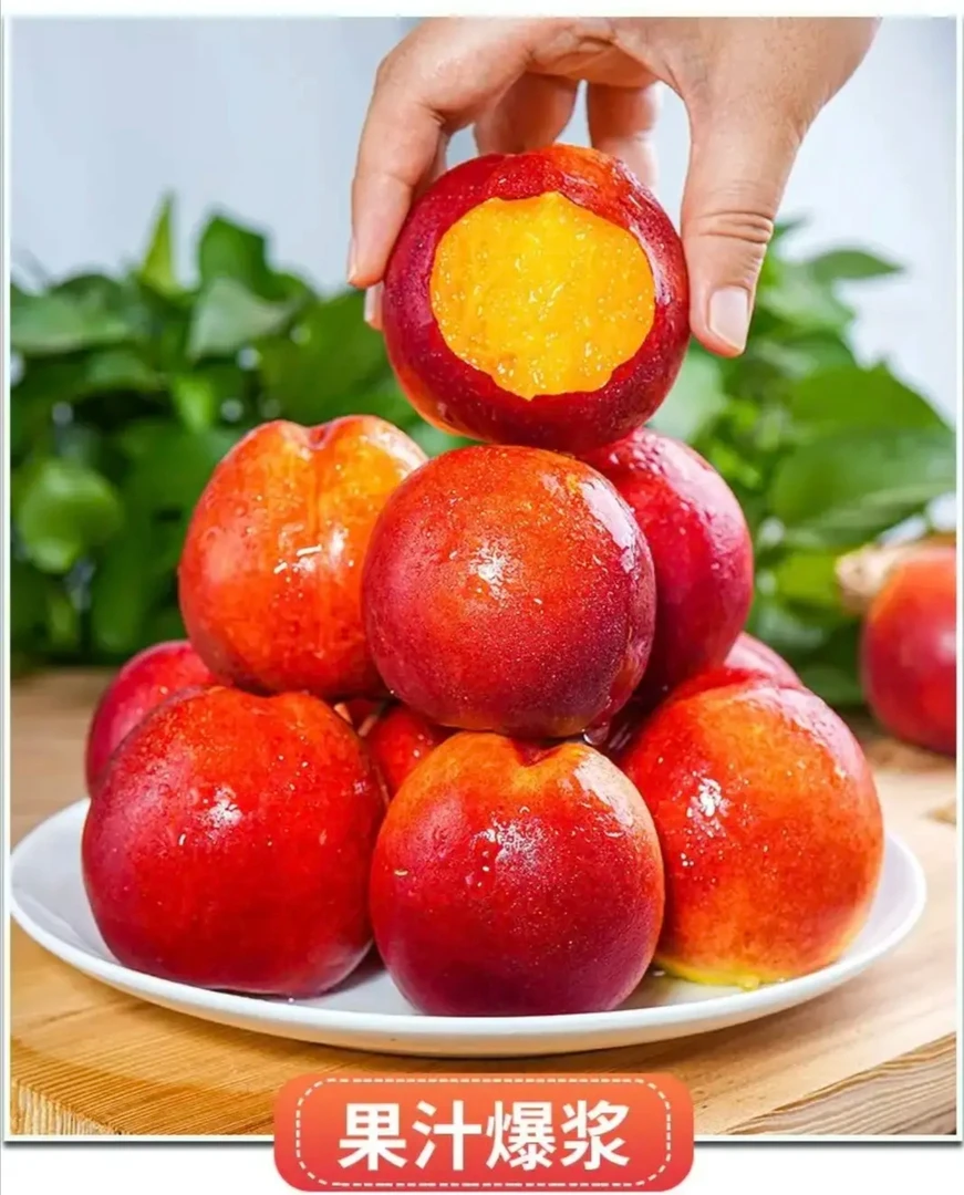 青州正宗麻皮油桃头茬新鲜黄心麻点油桃脆甜多汁当季水果