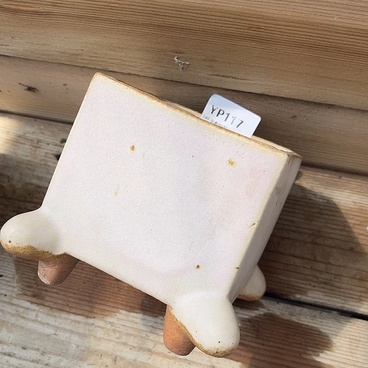 紫砂花盆大**洋6折福利盆117