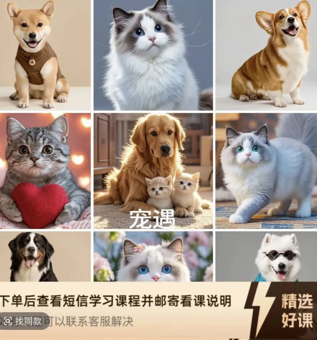 宠物相册定制家居