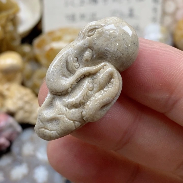 颈饰未镶嵌硅化珊瑚（珊瑚玉）小