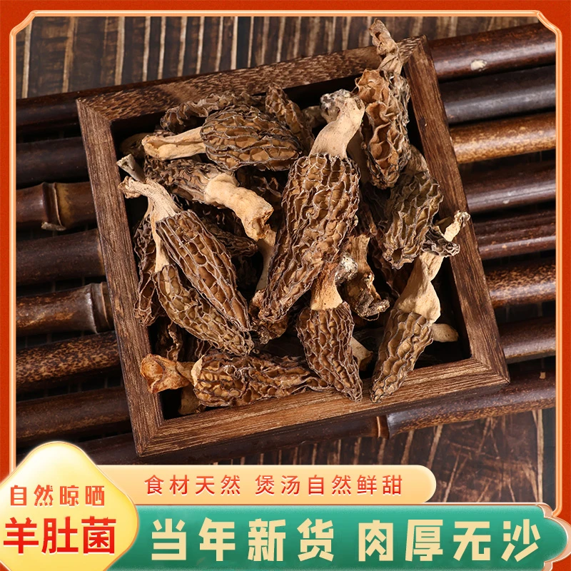 羊肚菌野生羊肚菌甘南高原野生羊肚菌精品野生羊肚菌品味羚城野生