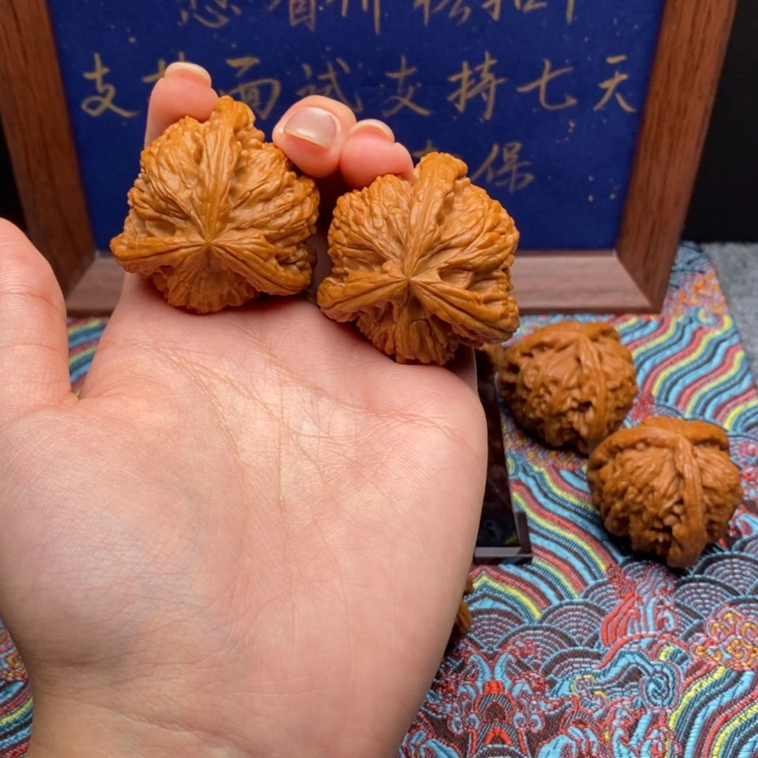 【闪购商品】爱*?白狮