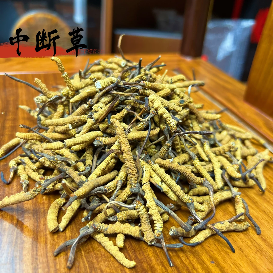 【小闪】冬虫夏草 实惠断草 市场实收现卖 自然晒干 品质滋补实拍图