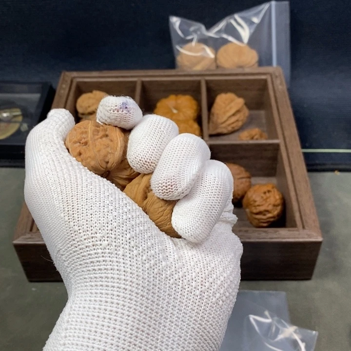 核桃等经济林果地的作用，