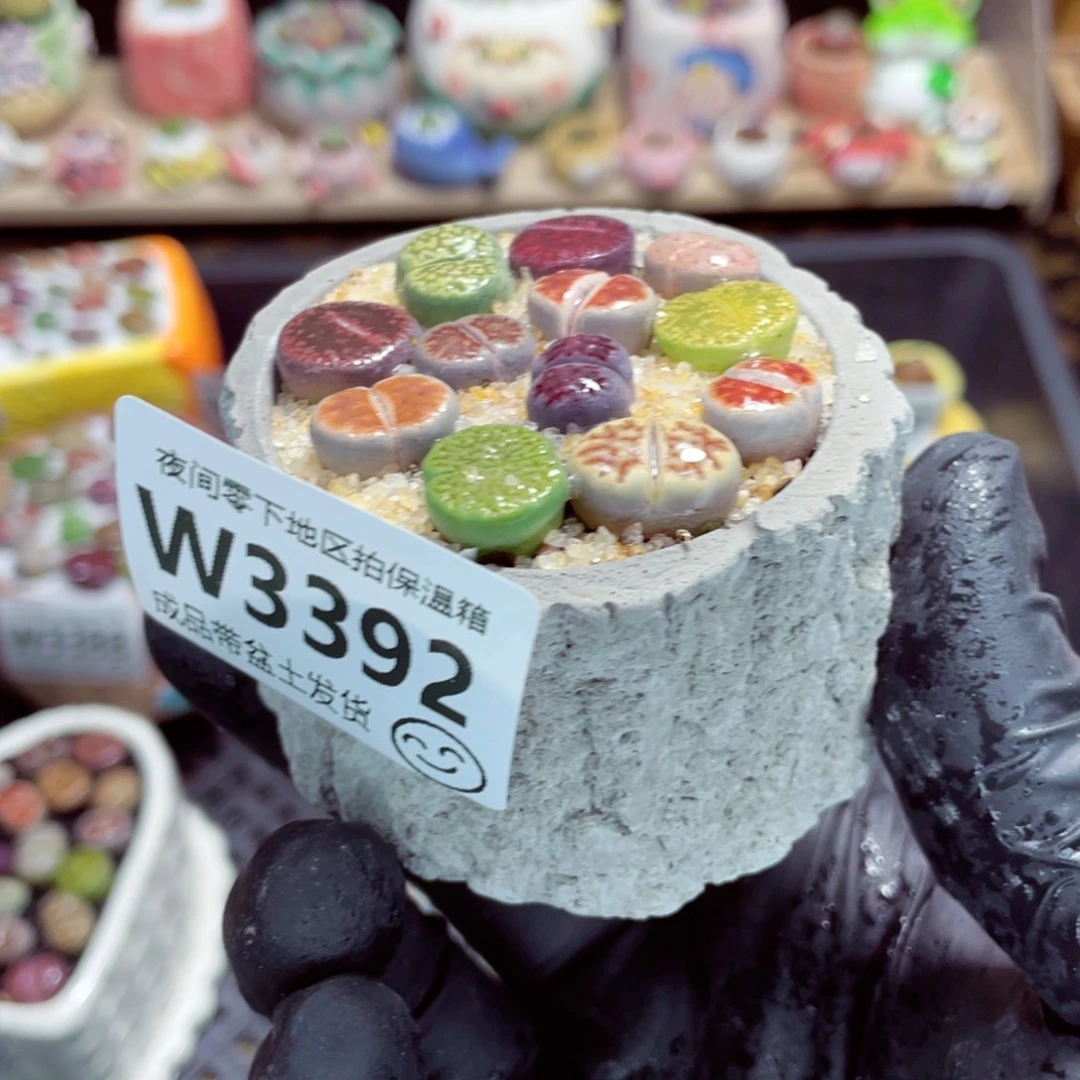 夜间零下地区拍保温箱w3392