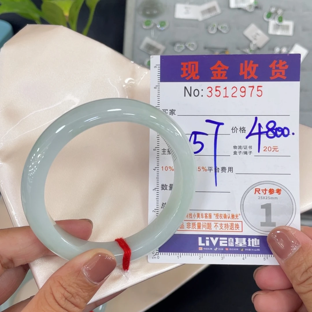 未镶嵌手镯翡翠蔡*了