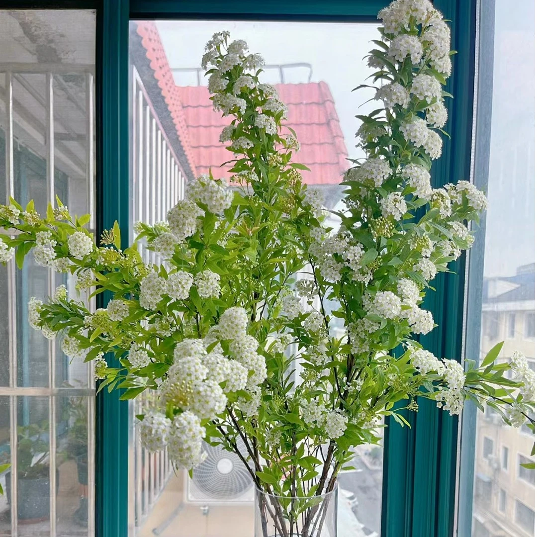 小手球--收到花有问题联系客服