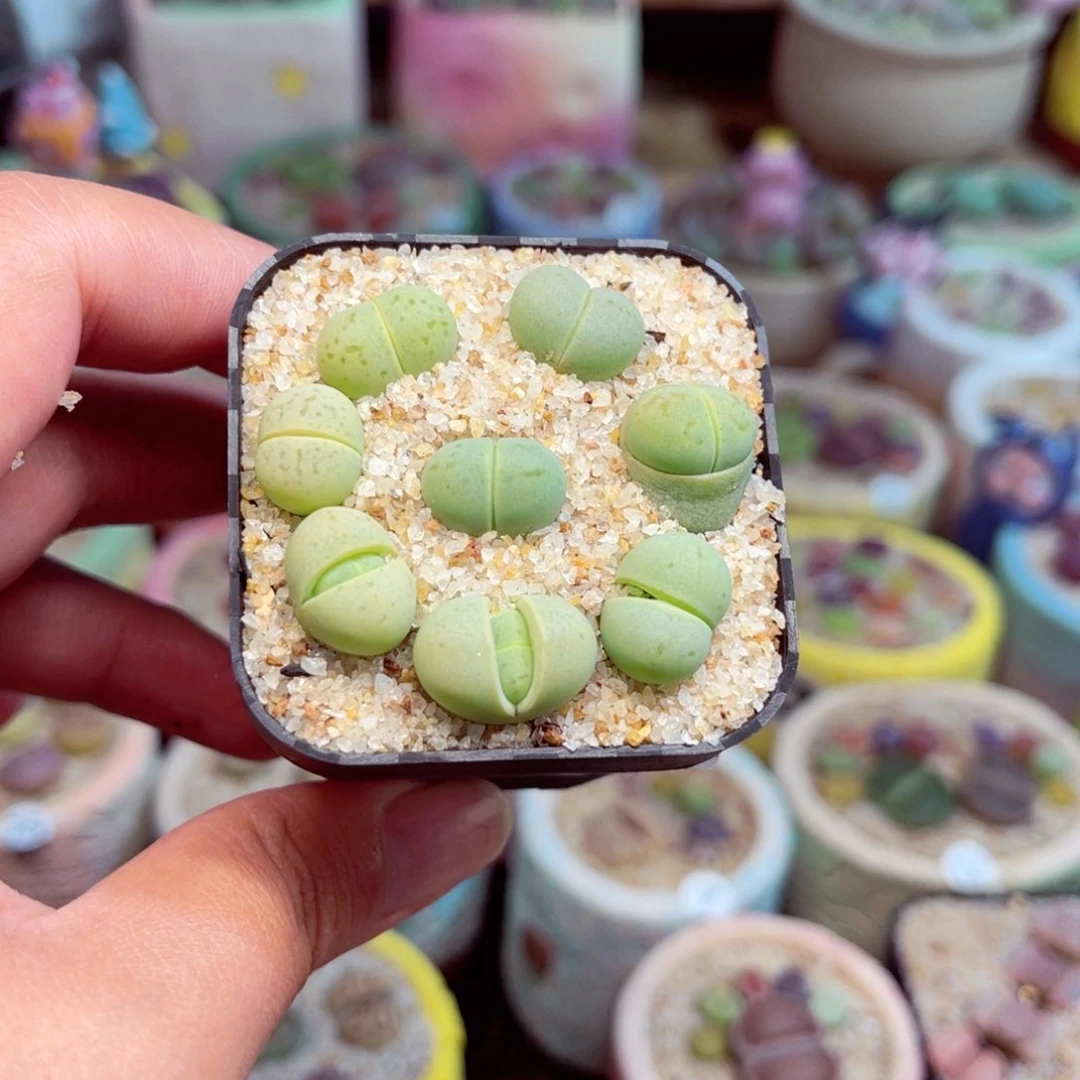 178，888888888888888