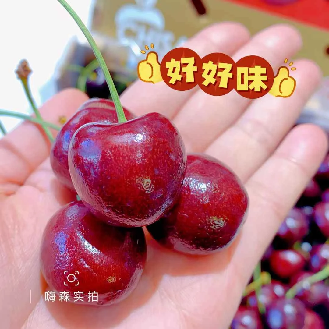 智利海运JDD瑞吉娜车厘子（5斤装）瑞吉纳智利