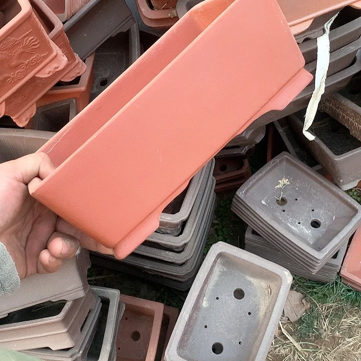 紫砂哈哈真的是太给力的样子就是