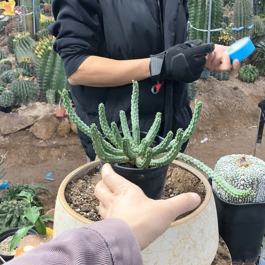 幼***手0000000000000000000