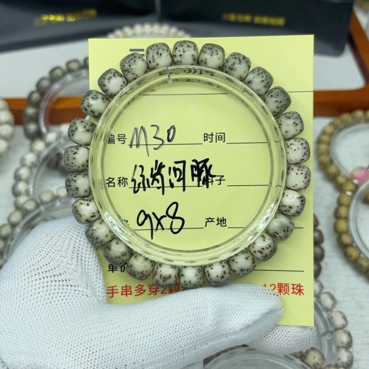 菩提籽类绿背河豚。。