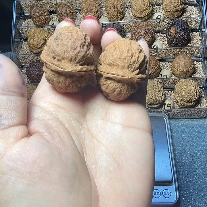 文玩核桃把件35号小粗筋绣球纹38尺