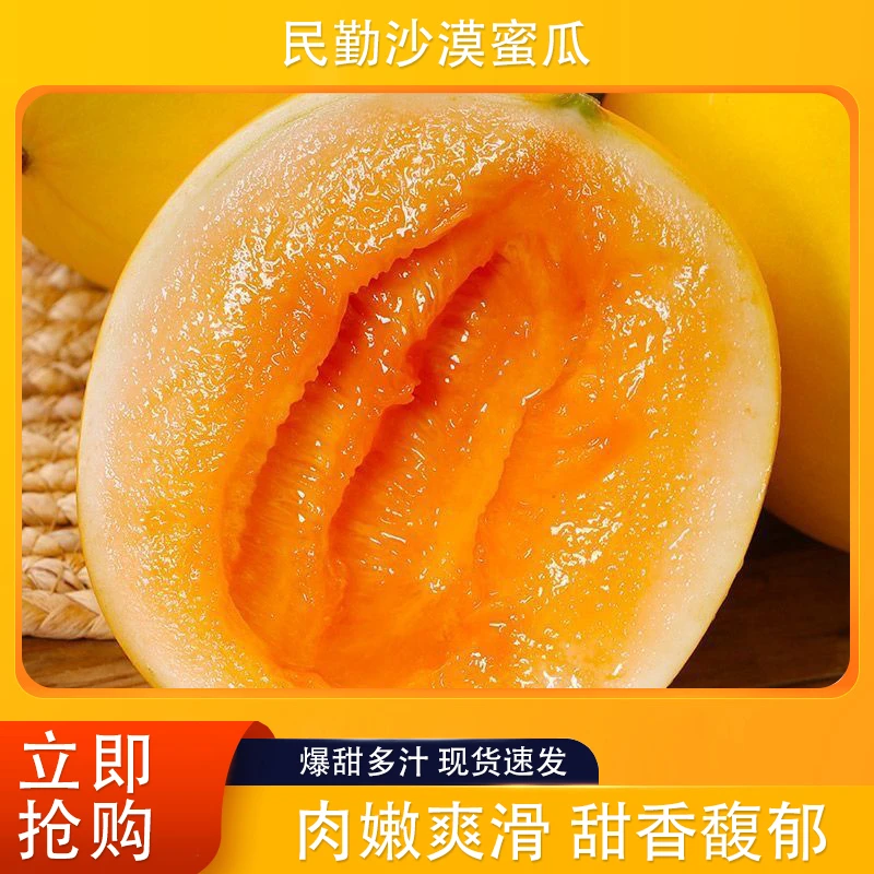 甘肃民勤蜜瓜新鲜水果顺丰快递发货