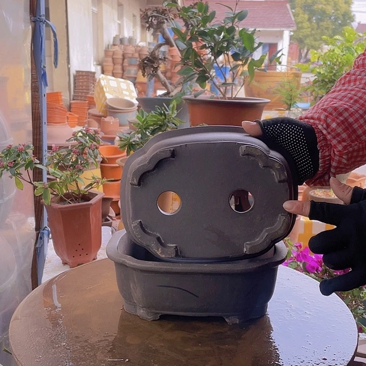 紫砂宜兴紫砂海棠24+24