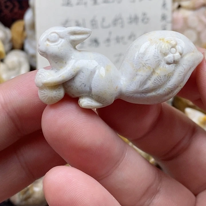 颈饰未镶嵌硅化珊瑚（珊瑚玉）