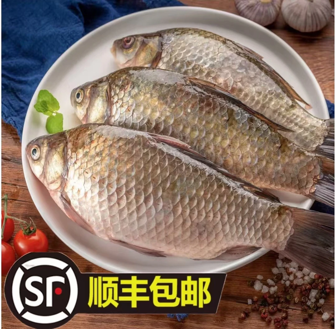 (顺丰包邮)乌苏里江野生大鲫鱼-单条0.5-1.0斤之间到手7-8斤