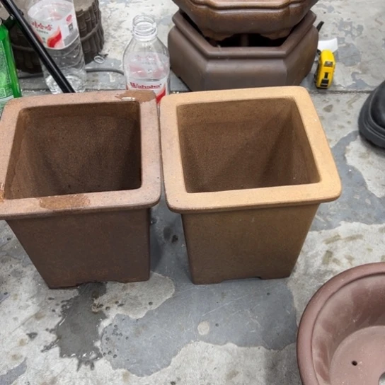 兔***爷紫砂花盆里都藏满花