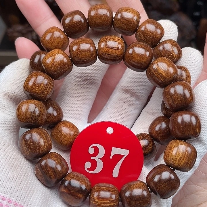 贡木其他多样性发其一1314