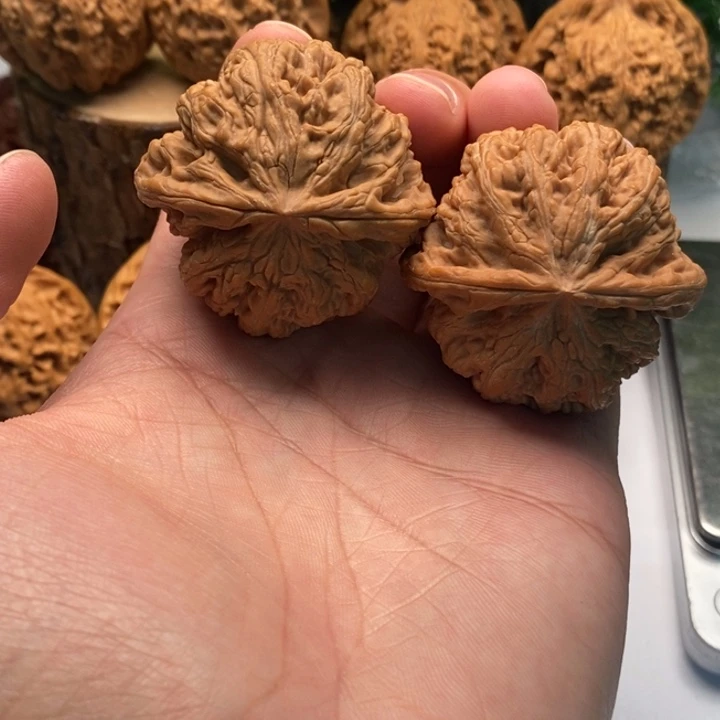 把件文玩核桃44全品粗筋
