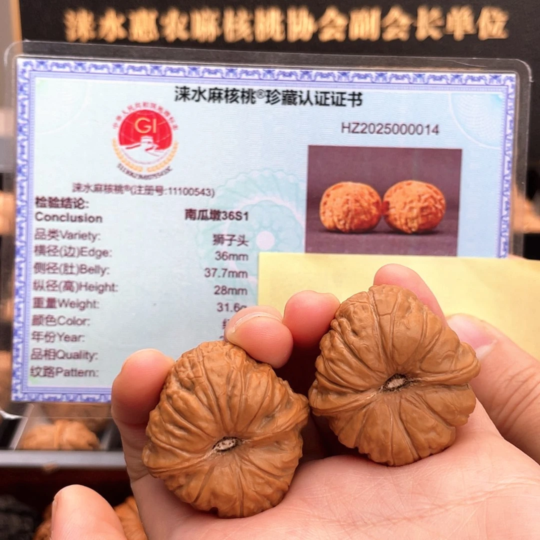 把件文玩核桃小圆瓜近正肩36S1凹底一字底