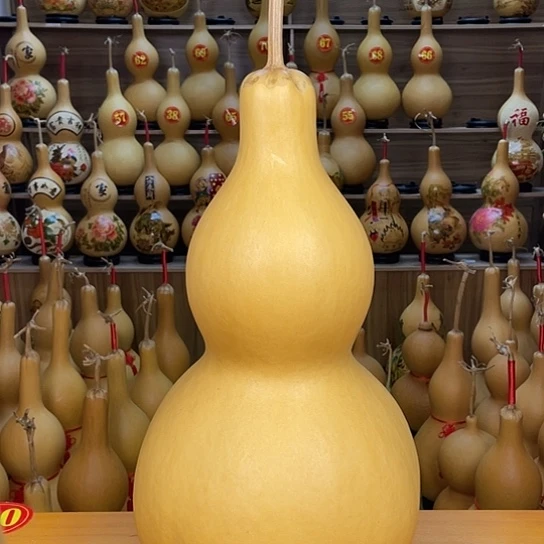 舌***u直播间专拍大葫芦