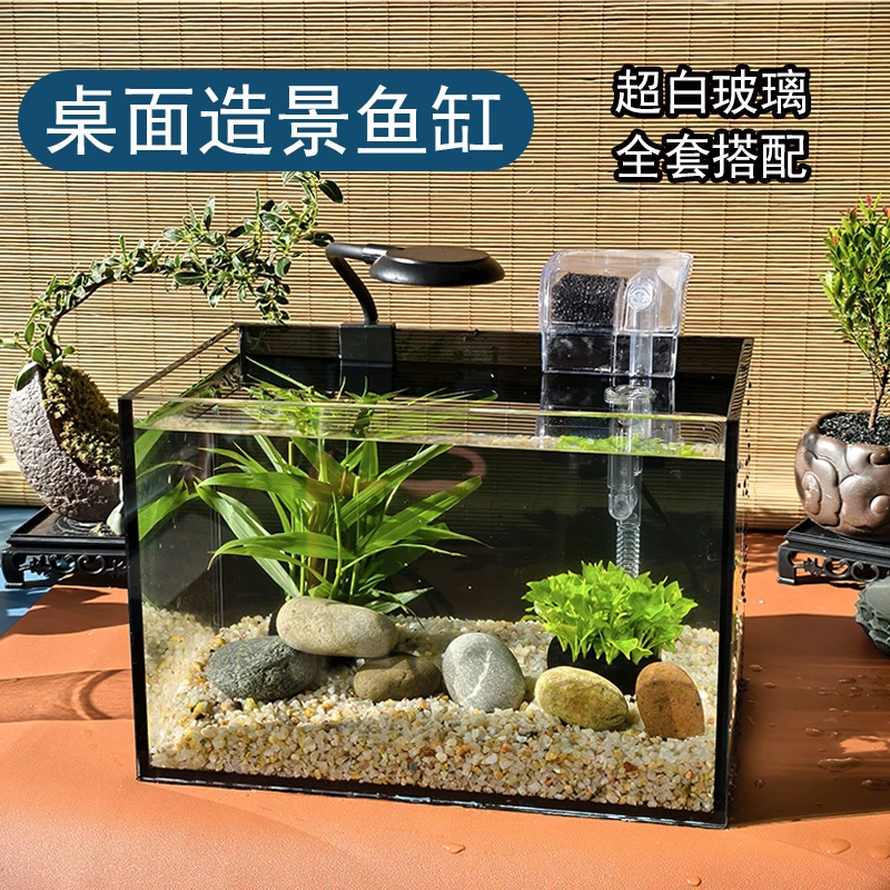 桌面小型超白玻璃养鱼缸带氧气家用客厅生态缸办公室自循环