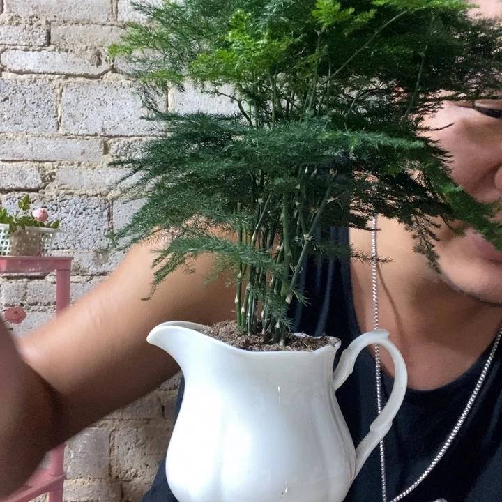 完全开放退款拉黑一物一拍184