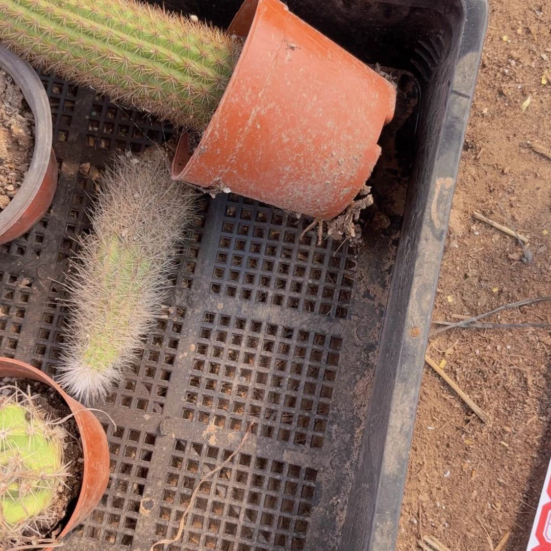 逾*26 混品瑕痴无售后