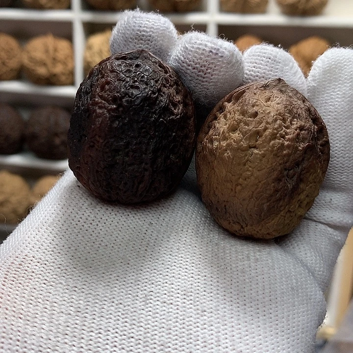 核桃36尺花彩罗汉头8号