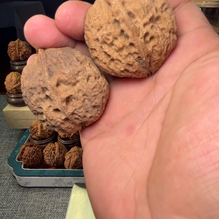 文玩核桃/貔恘金蟾