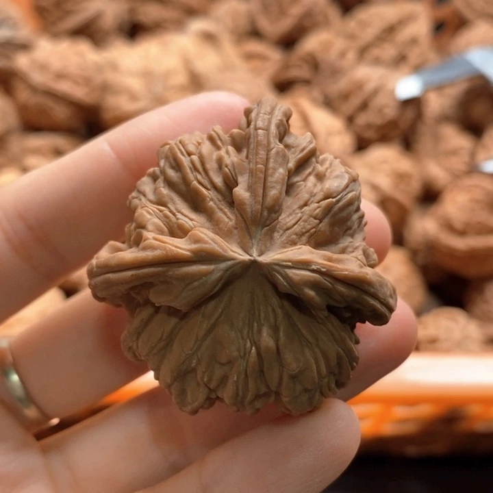 d***g核桃文玩核桃不退不换