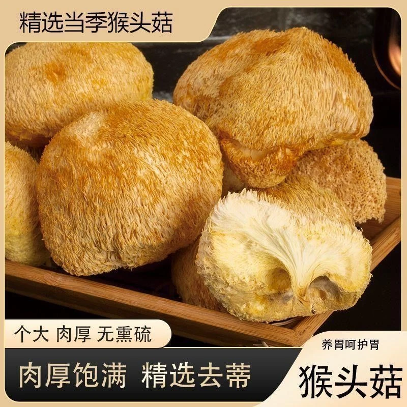精选猴头菇新鲜干货滋补佳品食用菌菇煲汤食材