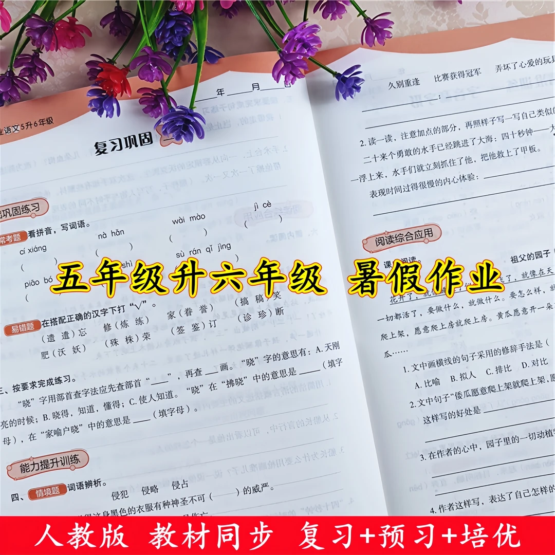 暑假作业五年级升六年级暑假衔接教材人教版五年级语文暑假作业本