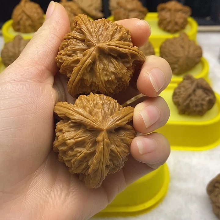 创***林无花朵爆单爆单爆单