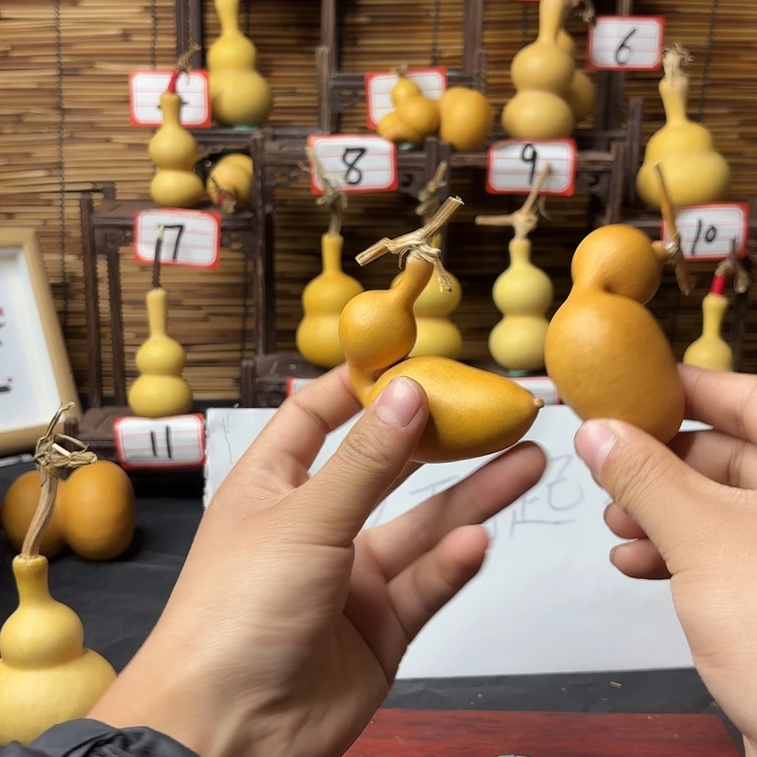 看好下单不退不换