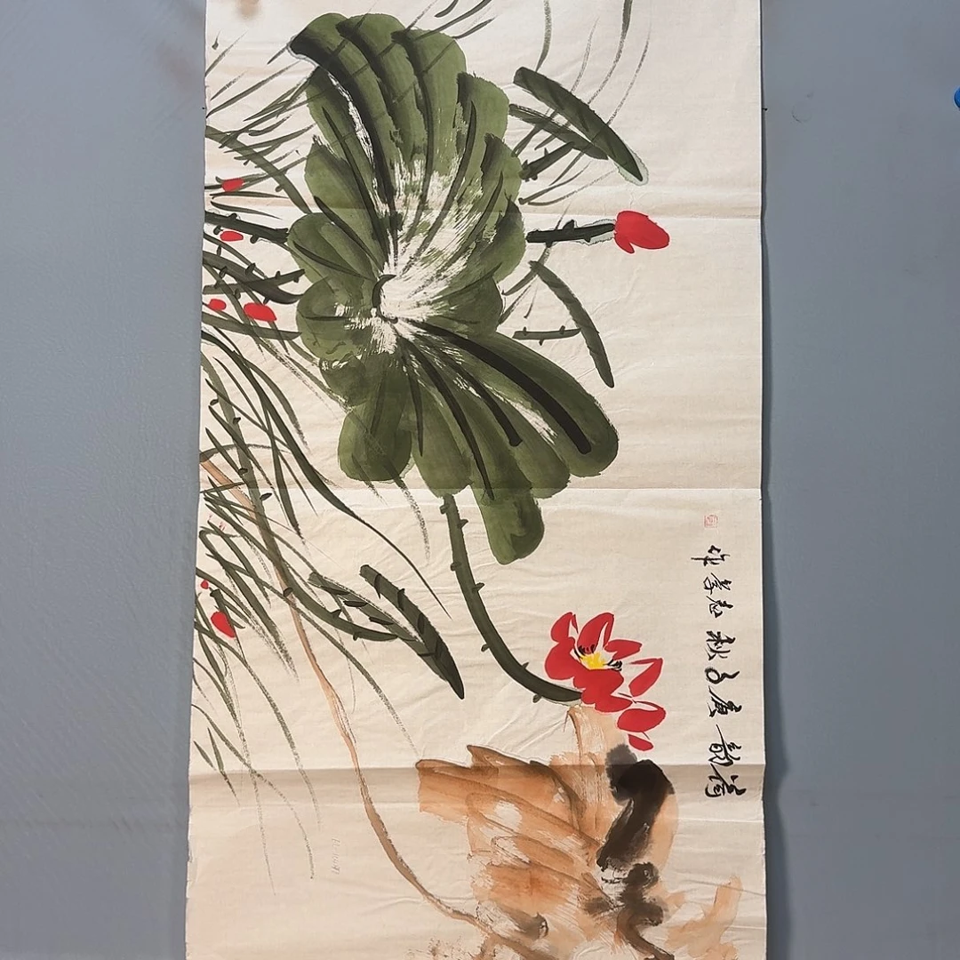 国画843 加加加了健健康康