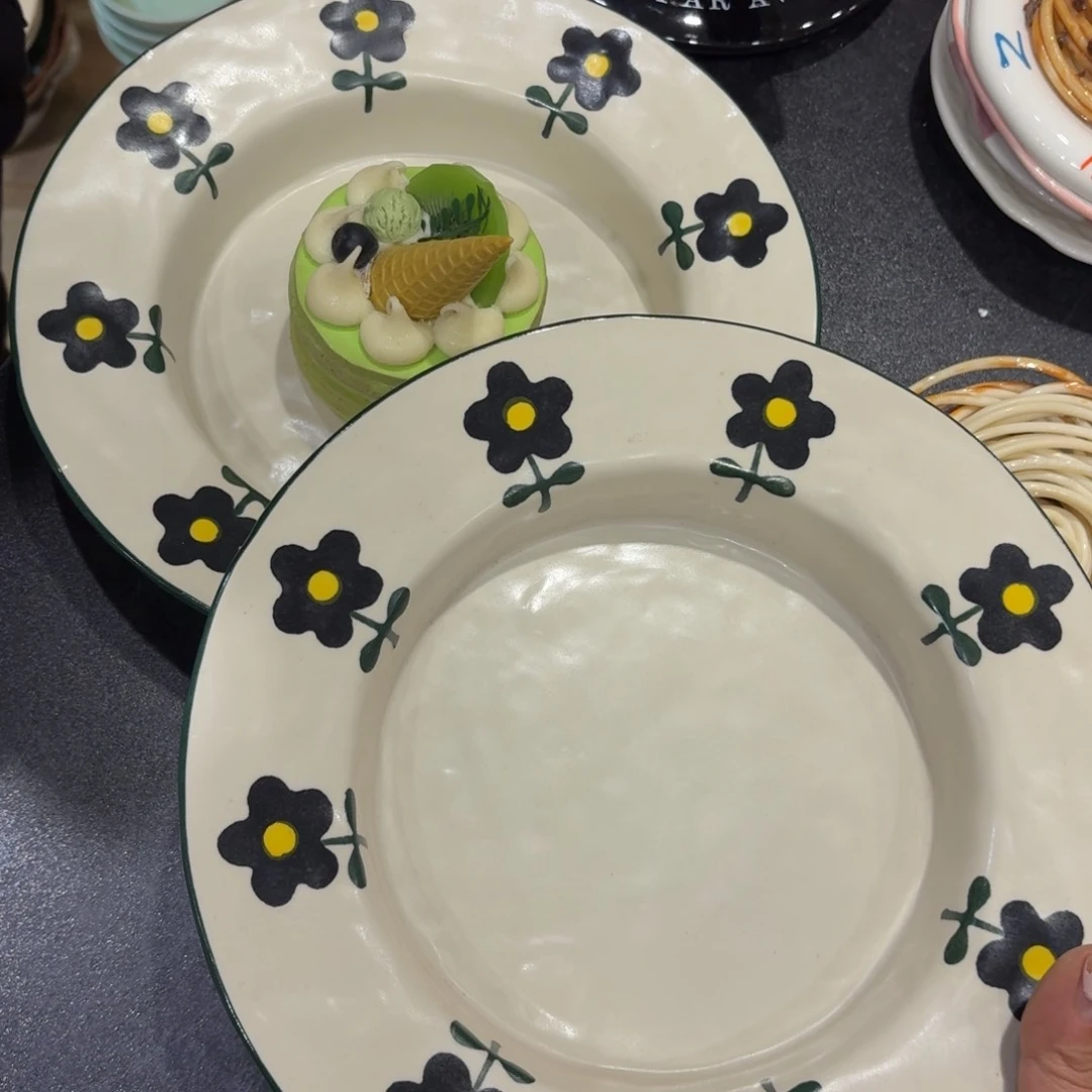 瓷两个9寸盘子两个