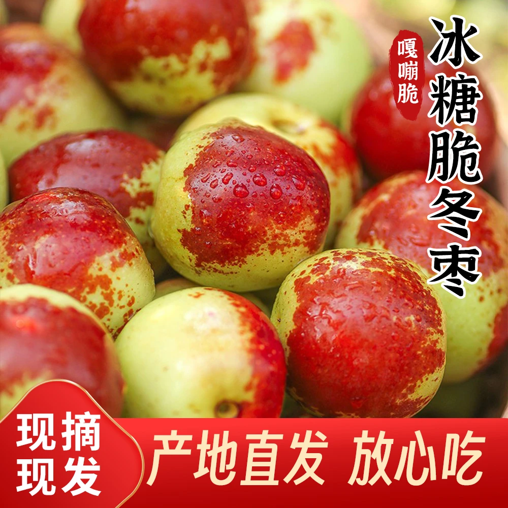 大荔冬枣新鲜脆甜冰糖脆鲜枣孕妇水果当季整箱2斤
