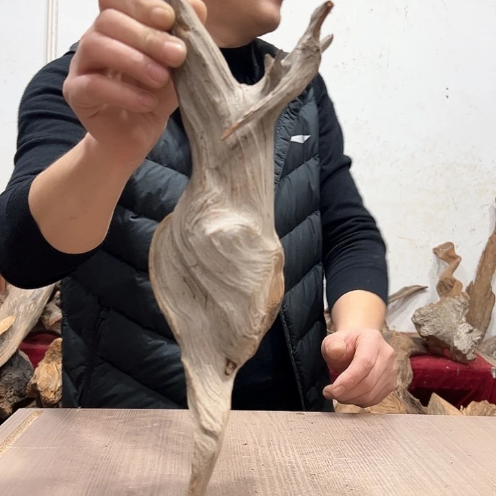柏木-*鲤清乾隆三十三载至光绪三十