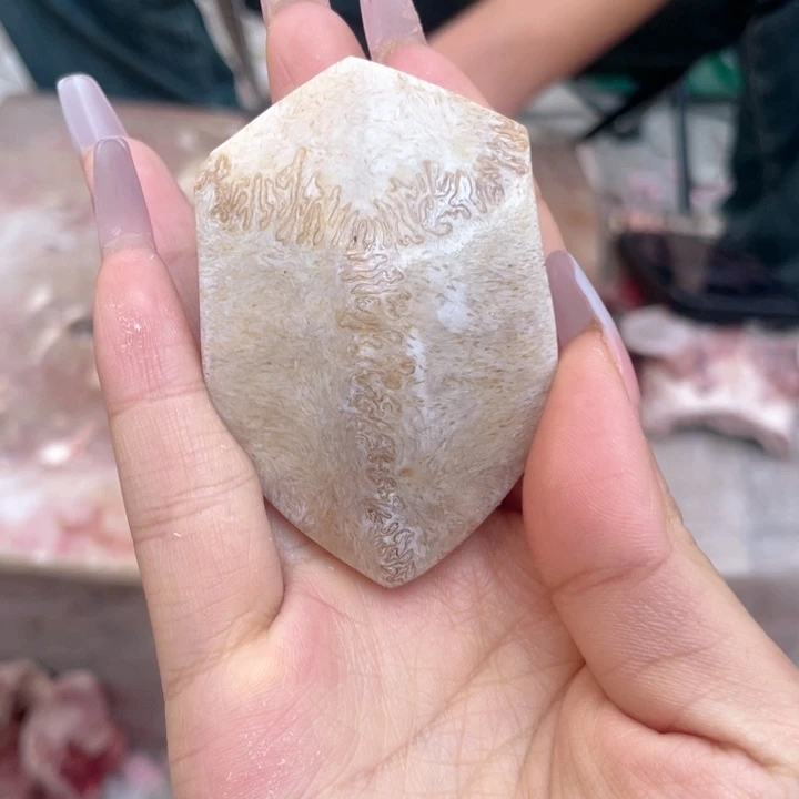 养殖鹿骨三界牌子