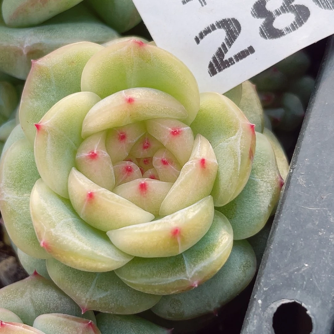 280点半到家的我在等