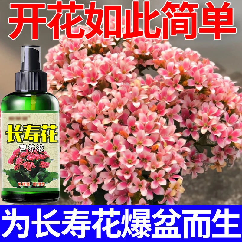 长寿花直喷型抑菌预防病虫害促开花治白粉病补充营养促生长营养液